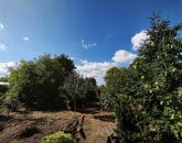 Eladó lakás Nyíregyháza 60 000 000 Ft