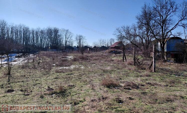 ELADÓ ÉPÍTÉSI TELEK TÁPIÓSZŐLŐSÖN                                 