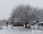 Eladó családi ház Debrecen 49 900 000 Ft