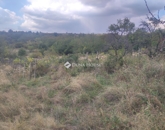 Eladó telek/földterület Kővágószőlős 5 500 000 Ft