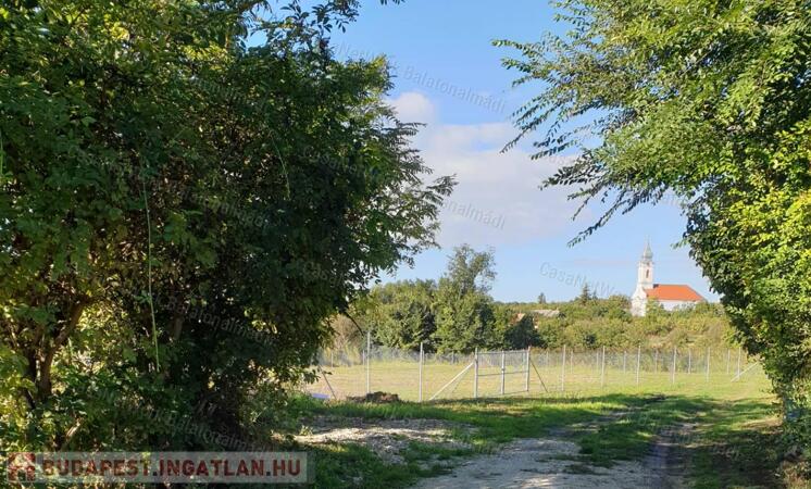 Eladó zöldövezeti építési telek Csajágon!                                 