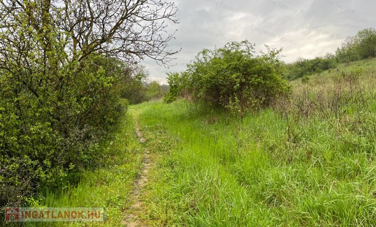 Eladó zártkert (nem kifüggesztéses) Kaposvártól 20 km-re Gálosfán!