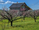 Eladó telek/földterület Edelény 13 500 000 Ft