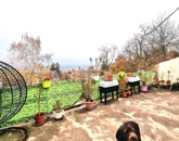 Eladó családi ház Leányfalu 59 900 000 Ft