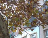 Szolnokon a piacnál eladó tégla építésű lakás!