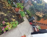 Eladó családi ház Budapest XXIII. ker 30 900 000 Ft