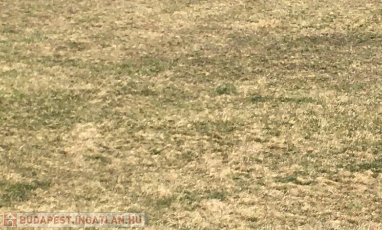 2,5 hektár szántó                                 
