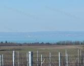 Balatoni panorámás szőlőbirtok eladó Balatonvilágoson - 3000 nm beépítéssel
