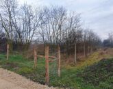 Eladó ipari ingatlan Lébény 99 999 000 Ft