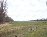 Eladó telek/földterület Lébény 100 000 000 Ft