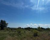 Eladó telek Zánka egyik legnyugodtabb részén!