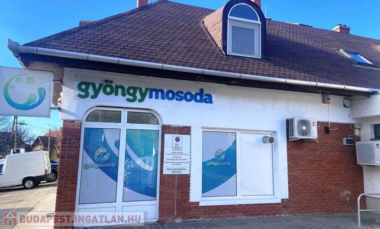 Veszprém Cholnoky üzlethelyiség                                 