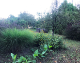 Eladó telek/földterület Dunaharaszti 49 990 000 Ft