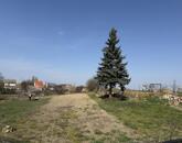 Eladó családi ház Kocs 13 500 000 Ft