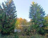 Eladó telek/földterület Solymár 69 900 000 Ft