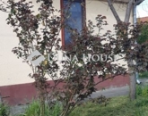 Eladó családi ház Szentes 14 000 000 Ft