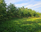 Eladó telek/földterület Kisasszond 3 000 000 Ft