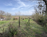 Eladó üdülő/nyaraló Homokkomárom 14 900 000 Ft