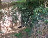 Építési telek eladó Gyarmatpusztán – ahol a természet, a múlt és a jövő találkozik