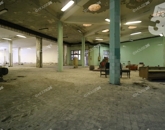 Eladó ipari ingatlan Balotaszállás 79 500 000 Ft