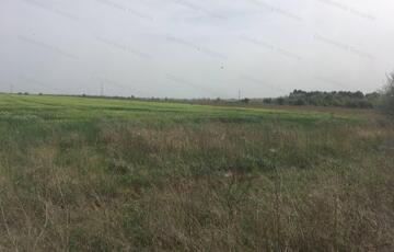 Eladó telek/földterület