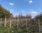 Eladó üdülő/nyaraló Belezna 5 700 000 Ft