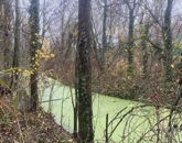 Eladó telek/földterület Ráckeve 219 000 000 Ft