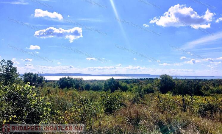 Dörgicsei mezőgazdasági terület az óriás tölgyfasor mentén                                 
