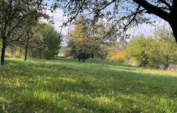 Eladó telek/földterület