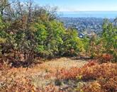 Erdőben, panorámás- eladó MEZŐGAZDASÁGI TERÜLET BALATONFÜREDEN