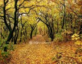 Eladó lakás Budapest II. ker 98 000 000 Ft