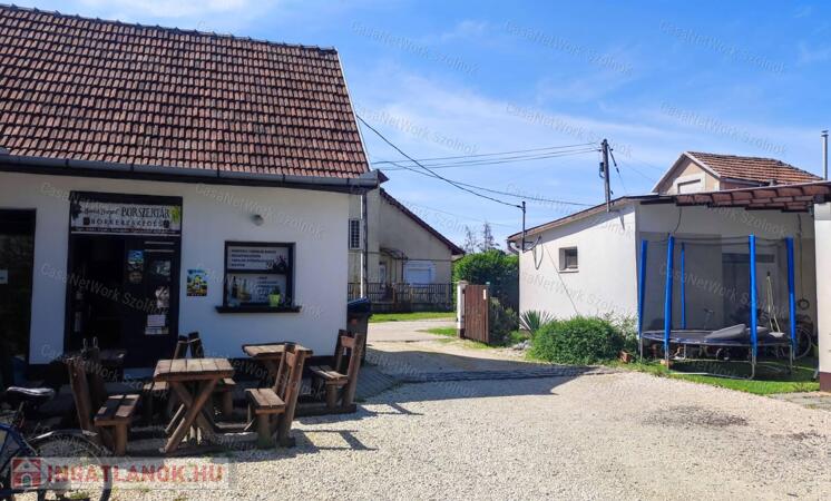 Eladó üzlethelyiség, garázzsal, lakóházzal Szandaszőlősön