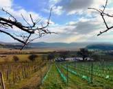 Tökéletes panorámás bővíthető nyaraló Balatonszőlősön