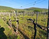 Balatoni panorámás nyaraló eladó Felsőörsön