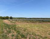 Panorámás SZŐLŐBIRTOK Balatonfüred és Aszófő között eladó