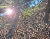 Eladó családi ház Gutorfölde 6 990 000 Ft