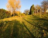 Eladó családi ház Zalaegerszeg 15 700 000 Ft