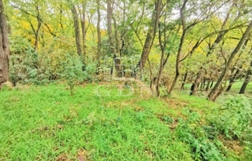 Eladó telek/földterület