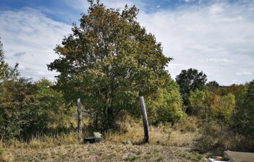 Eladó telek/földterület