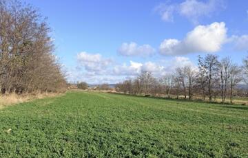 Eladó telek/földterület