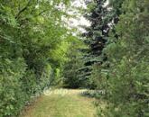 Eladó üdülő/nyaraló Solymár 69 900 000 Ft