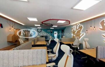 Kiadó ipari ingatlan