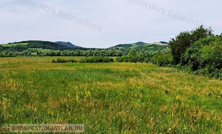 Kedvező adottságokkal-eladó MEZŐGAZDASÁGI TERÜLET BALATONRENDESEN                                 
