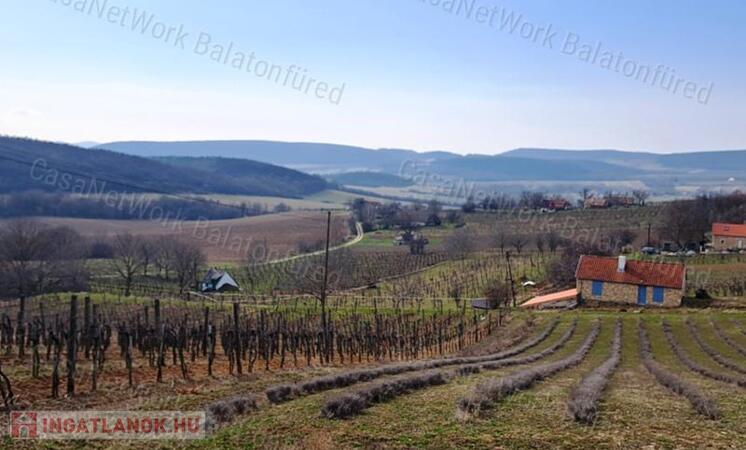 ÉPÍTHETŐ, TÁJPANORÁMÁS MEZŐGAZDASÁGI TERÜLET BALATONCSICSÓN