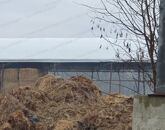 Eladó ipari ingatlan Lébény 99 999 000 Ft