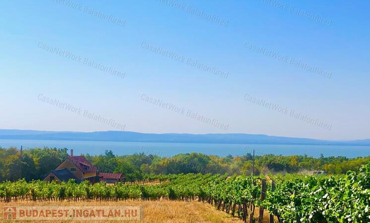 Beépíthető panorámás szőlőterület                                 