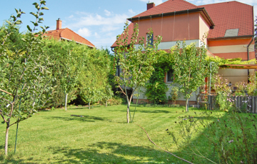 Eladó családi ház