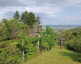 Eladó üdülő/nyaraló Dunabogdány 7 900 000 Ft