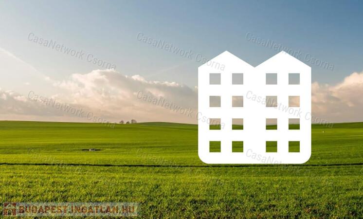 Kétgenerációs családi ház egy áráért                                 