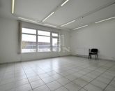 Kiadó ipari ingatlan Székesfehérvár 420 000 Ft